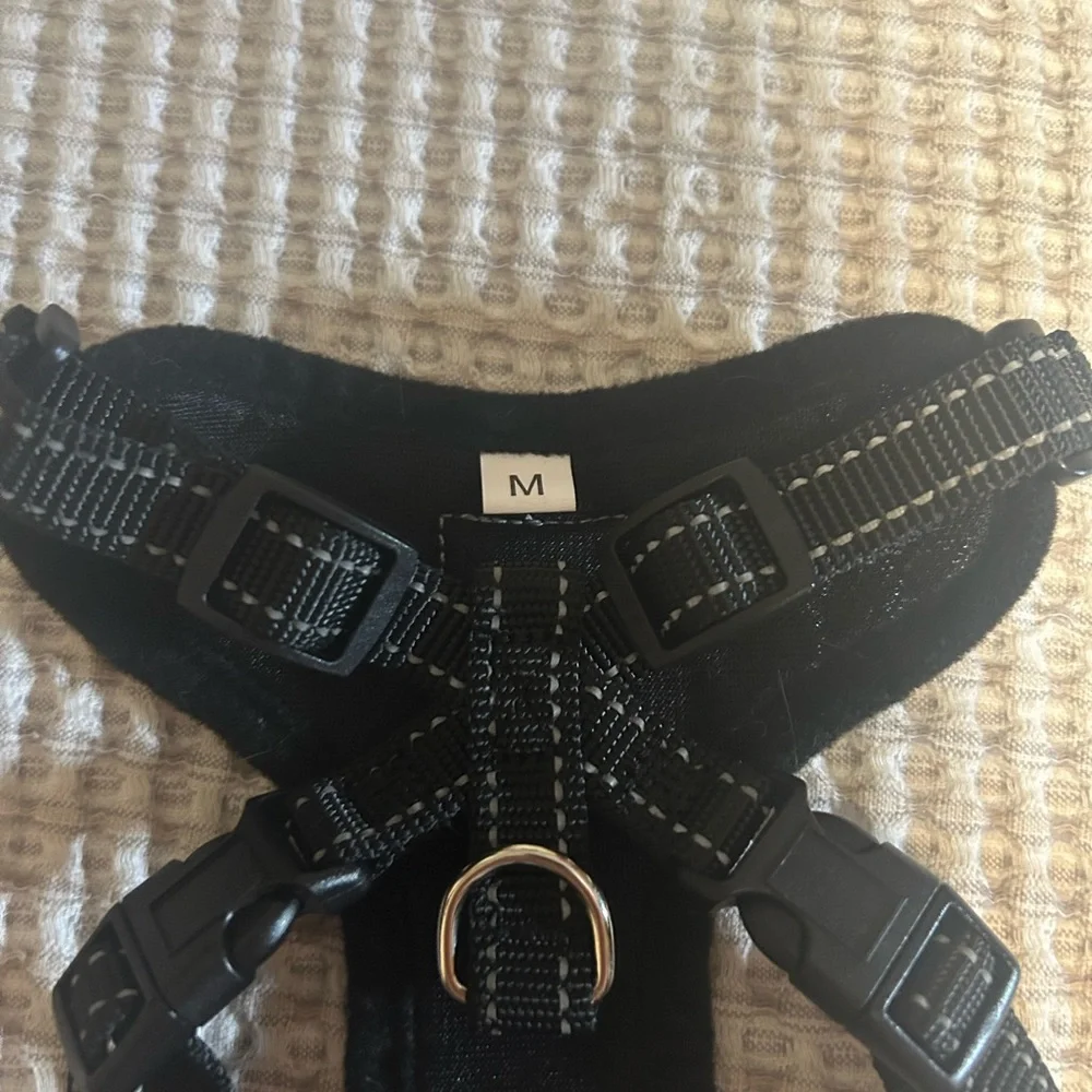 Comfortable Black Cat Harness